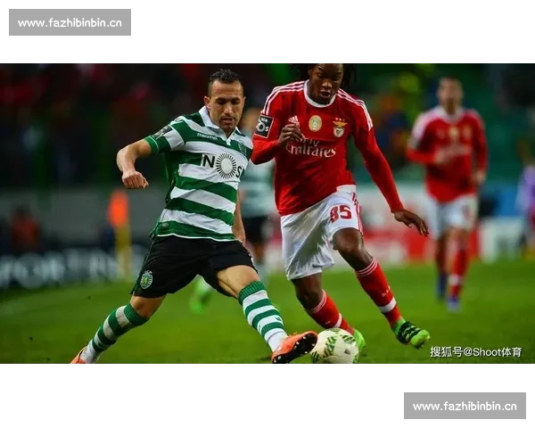 从多项体育赛事排名看竞技实力变化与格局演进趋势分析全面观察视角